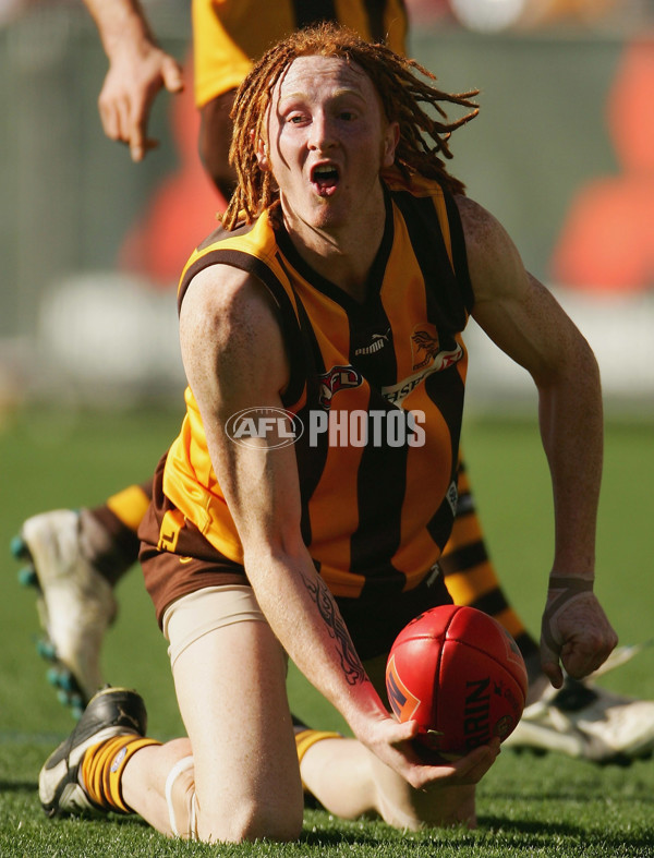 AFL 2005 Rd 22 - Hawthorn v Sydney Swans - 55214