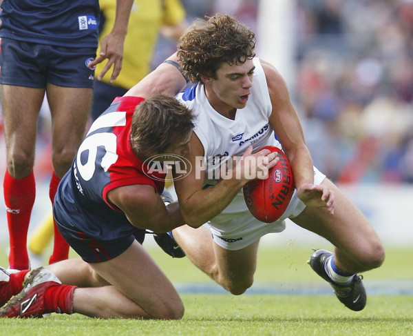 AFL 2005 Rd 11 - Kangaroos v Melbourne - 55620