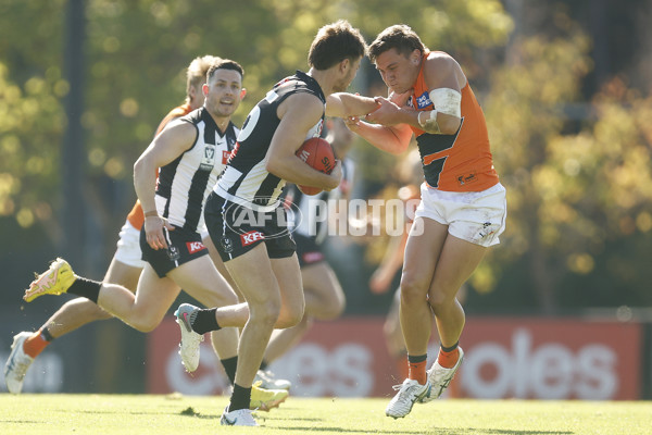 VFL 2023 Round 08 - Collingwood v GWS - A-36763597