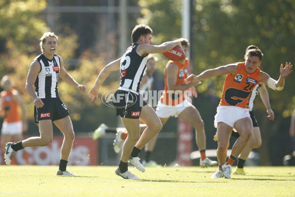 VFL 2023 Round 08 - Collingwood v GWS - A-36763598