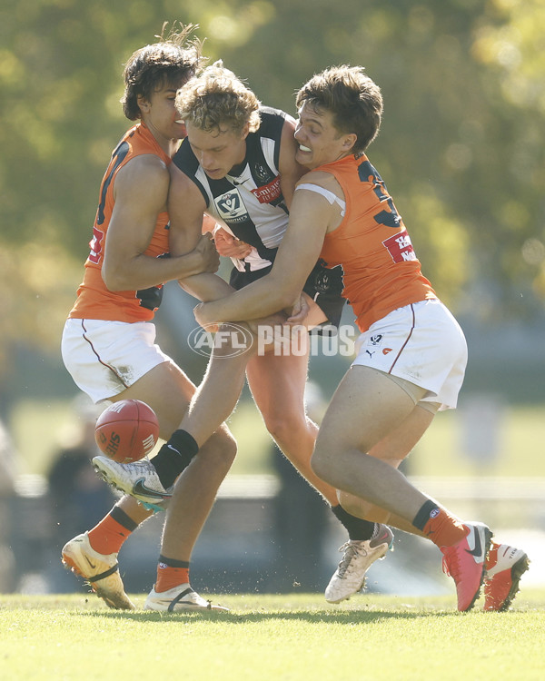 VFL 2023 Round 08 - Collingwood v GWS - A-36766612