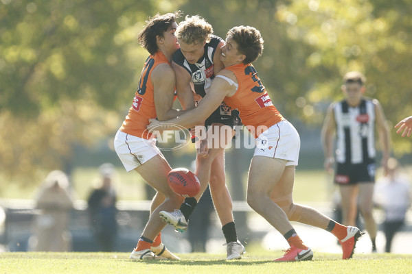 VFL 2023 Round 08 - Collingwood v GWS - A-36767591