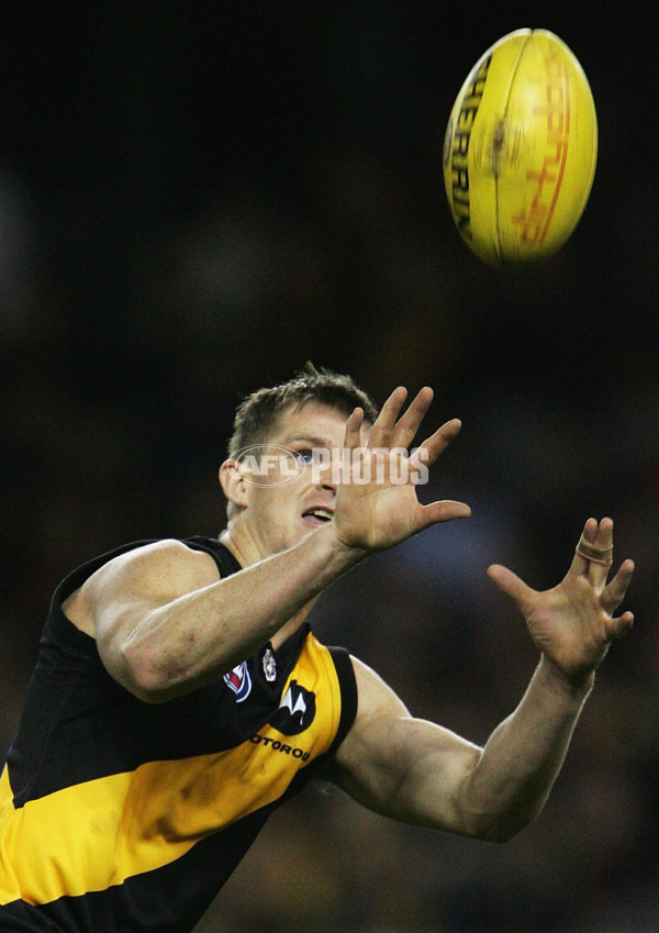 AFL 2005 Rd 13 - Richmond v Adelaide - 58054