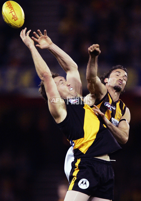 AFL 2005 Rd 21 - Richmond v Hawthorn - 58239