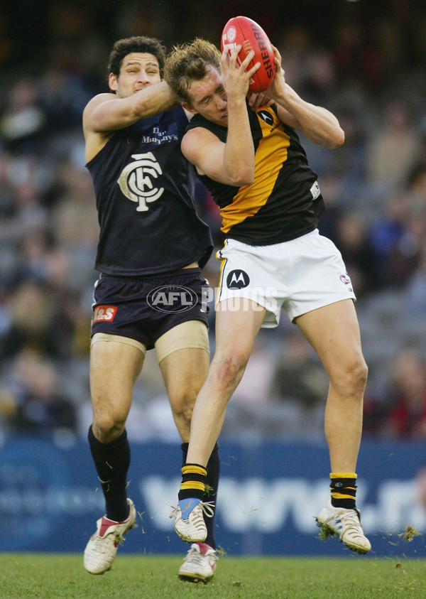 AFL 2005 Rd 18 - Carlton v Richmond - 58190