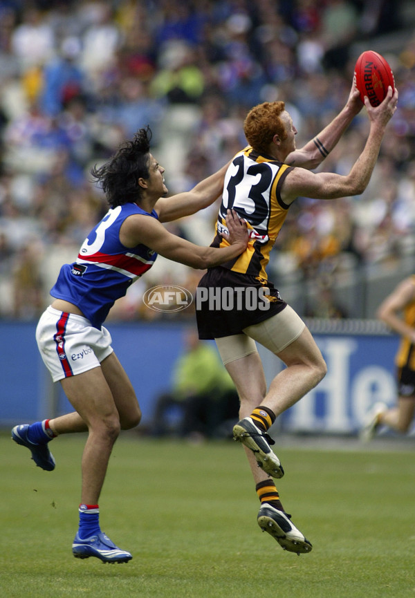 AFL Round 5 - Hawthorn v Western Bulldogs - 5848