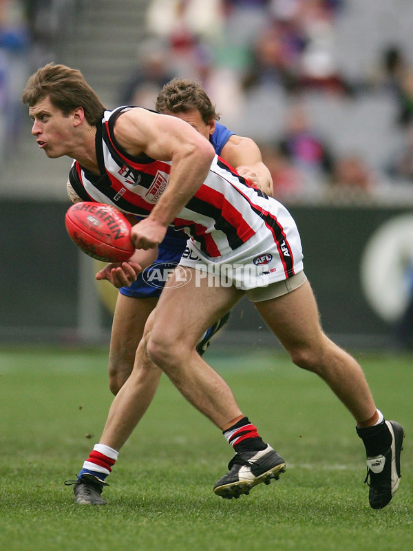 AFL 2005 Rd 14 - Western Bulldogs v St Kilda - 59310