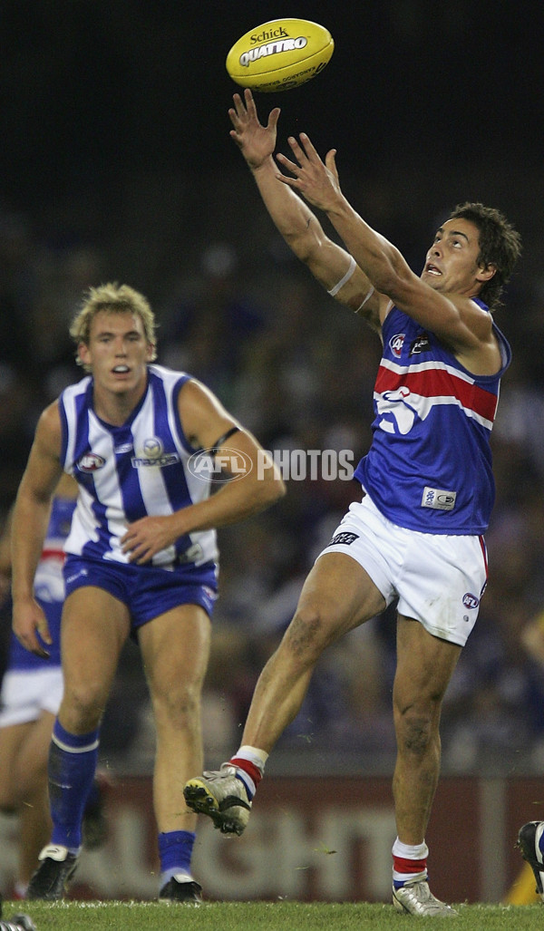 AFL 2005 Rd 8 - Kangaroos v Western Bulldogs - 61918