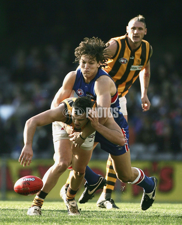 AFL 2005 Rd 11 - Western Bulldogs v Hawthorn - 61995
