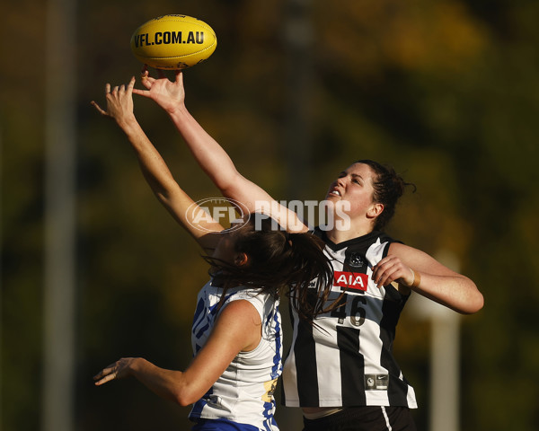 VFLW 2023 Round 08 - Collingwood v North Melbourne - A-36856418