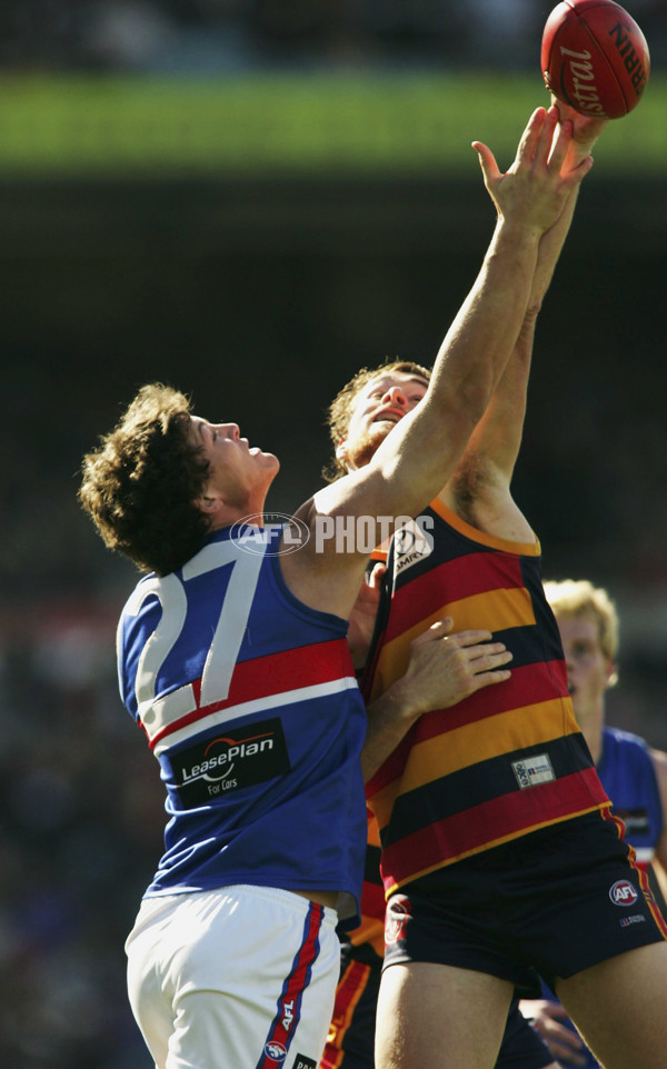 AFL 2005 Rd 16 - Adelaide v Western Bulldogs - 62120