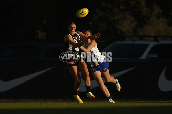 VFLW 2023 Round 08 - Collingwood v North Melbourne - A-36864302