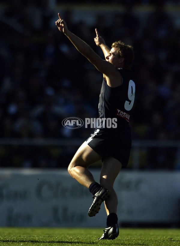AFL 2004 Rd 2 - Carlton v Geelong - 63875