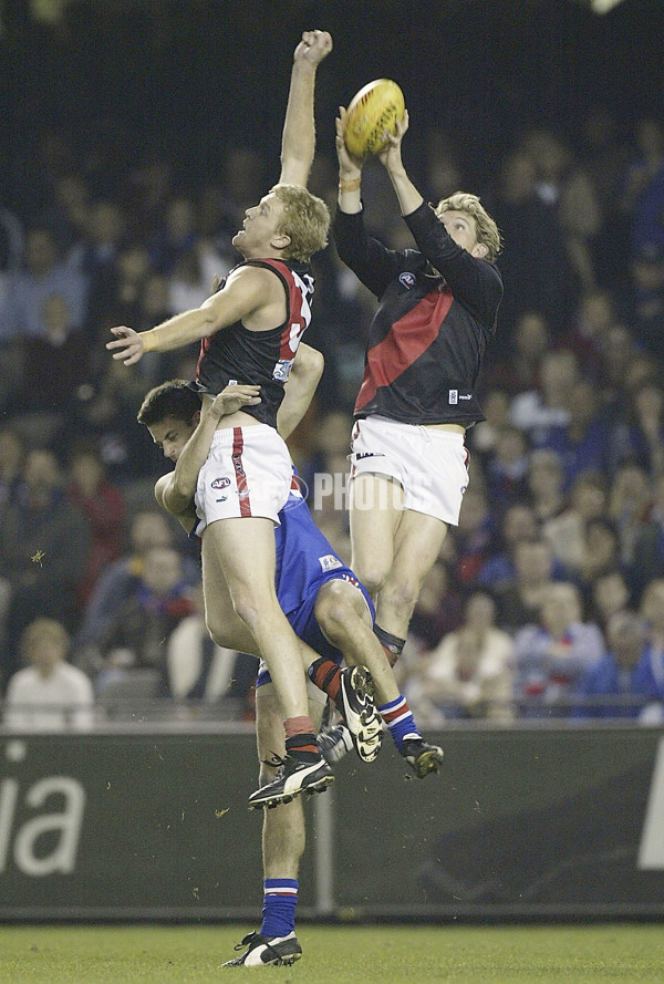 AFL 2004 Rd 7 - Western Bulldogs v Essendon - 65122