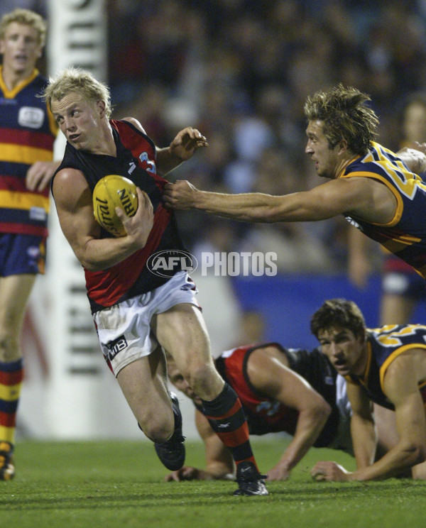 AFL 2004 Rd 8 - Adelaide v Essendon - 65152
