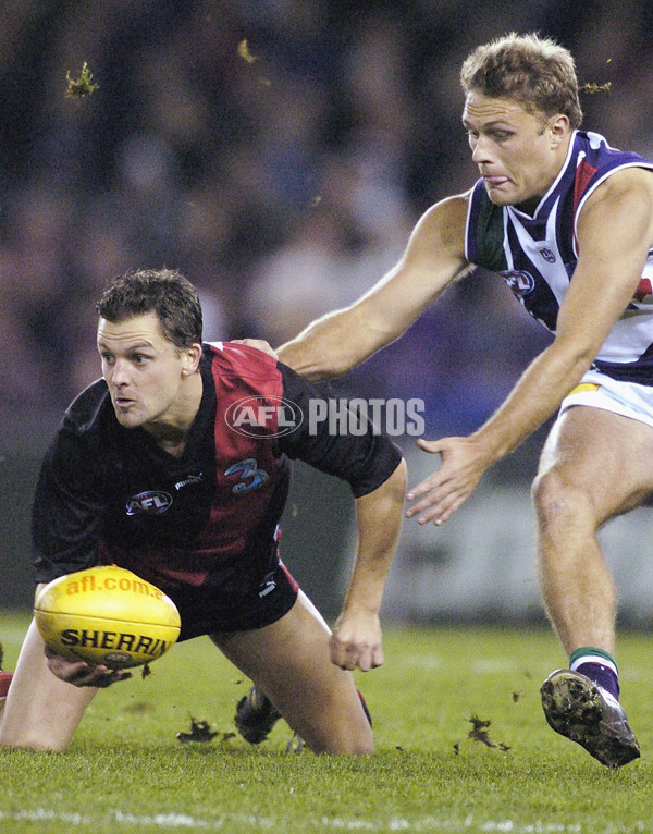 AFL 2004 Rd 10 - Essendon v Fremantle - 65194
