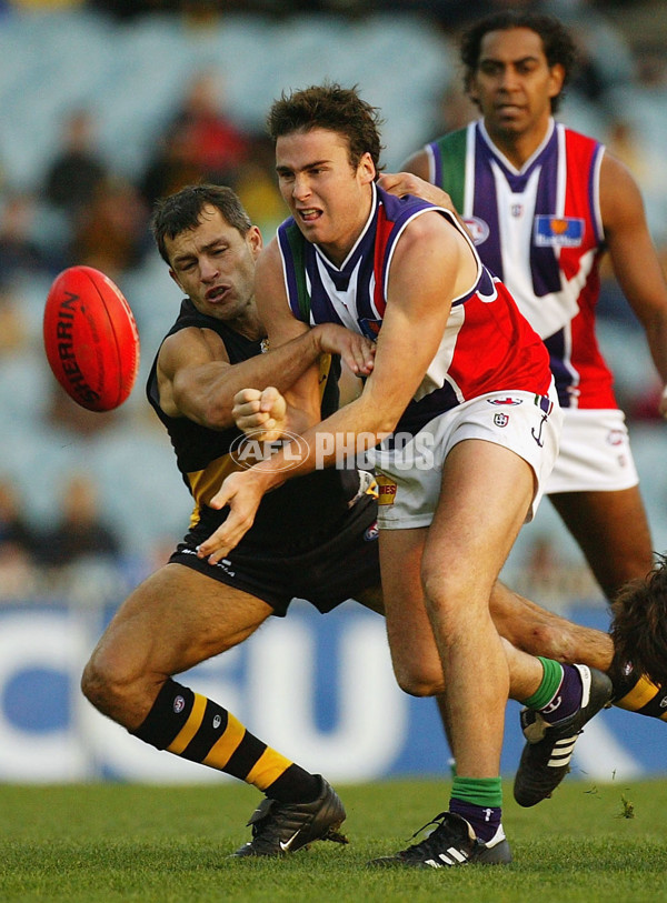 AFL 2004 Rd 12 - Richmond v Fremantle - 65783