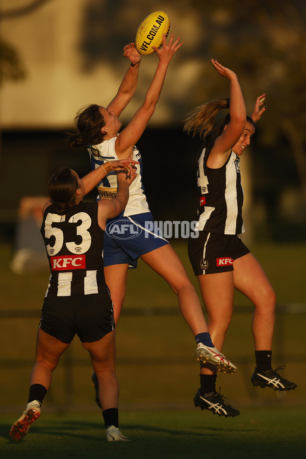 VFLW 2023 Round 08 - Collingwood v North Melbourne - A-36914472