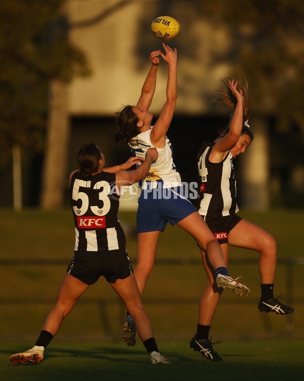 VFLW 2023 Round 08 - Collingwood v North Melbourne - A-36914473