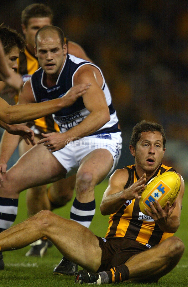 AFL 2004 Rd 7 - Hawthorn v Geelong - A-36921898