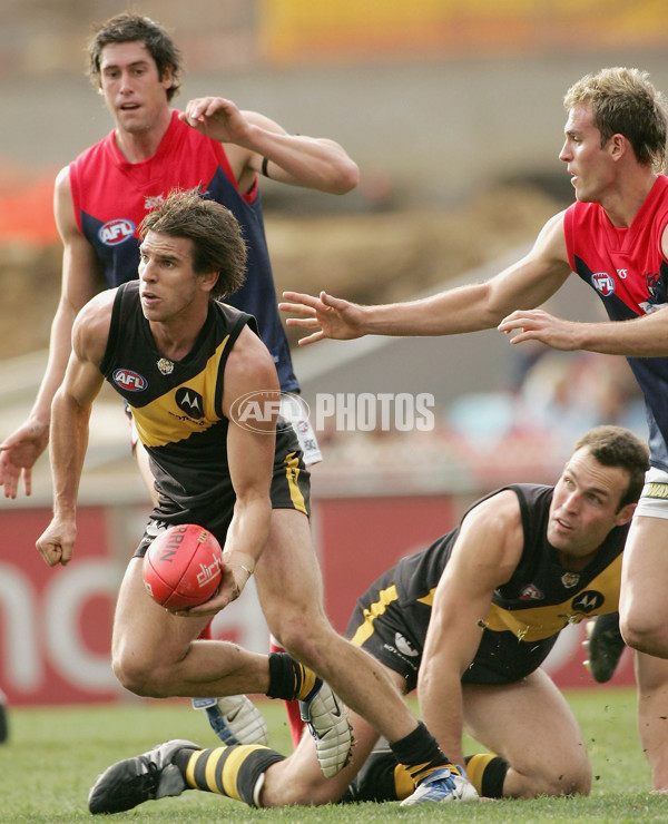 AFL 2004 Rd 17 - Richmond v Melbourne - 114481