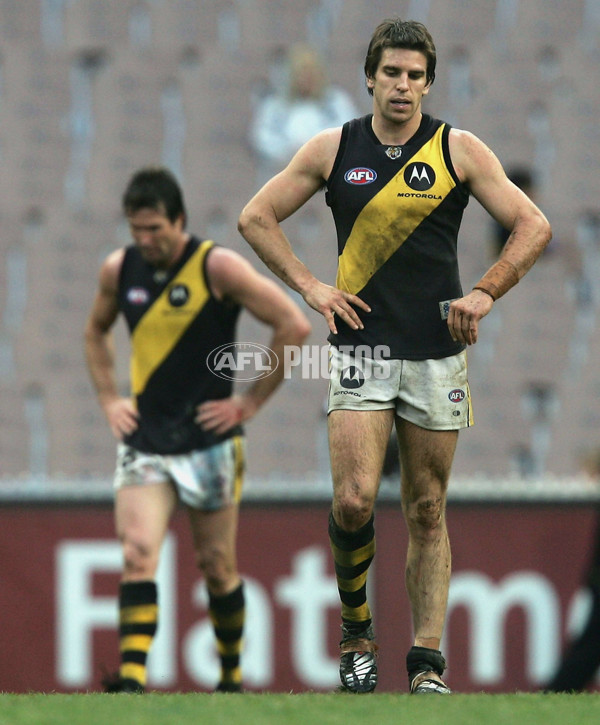 AFL 2004 Rd 21 - Hawthorn v Richmond - 114583