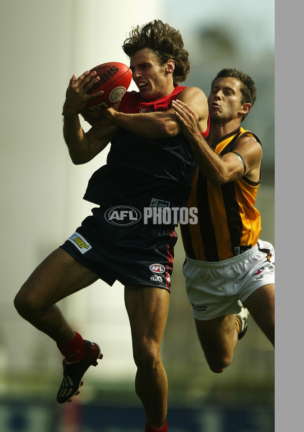 AFL 2003 Rd 1 - Hawthorn v Melbourne - 118853