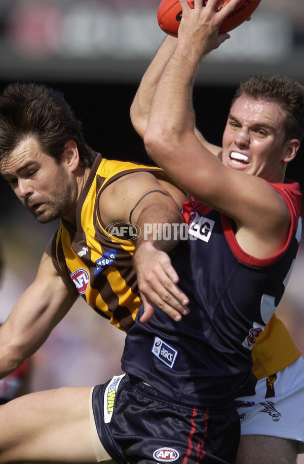 AFL 2003 Rd 1 - Hawthorn v Melbourne - A-37076192