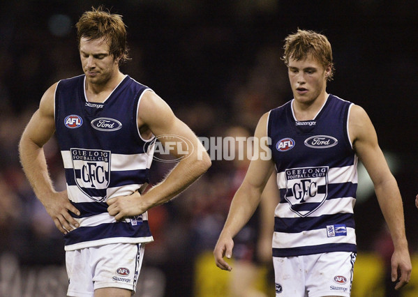AFL 2003 Rd 13 - Essendon v Geelong - 117797