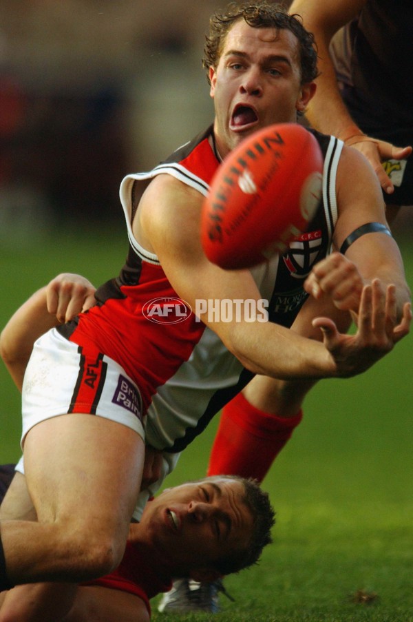 AFL 2003 Rd 13 - Melbourne v St Kilda - 120563