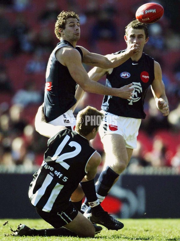 AFL 2003 Rd 17 - Collingwood v Carlton - 123543