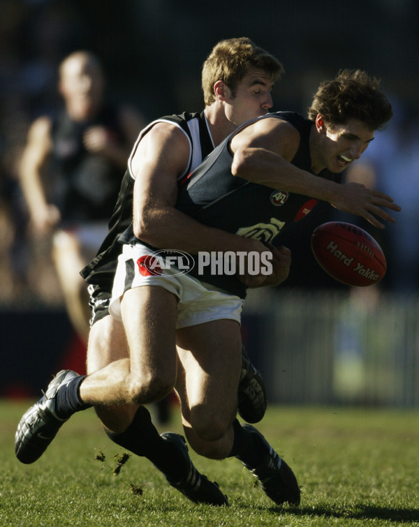 AFL 2003 Rd 17 - Collingwood v Carlton - 123552