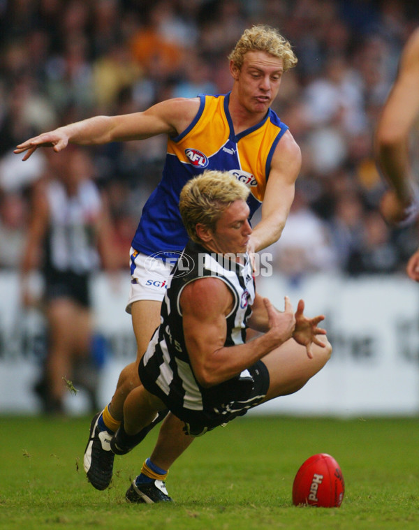 AFL 2003 Rd 8 - Collingwood v West Coast - 124449