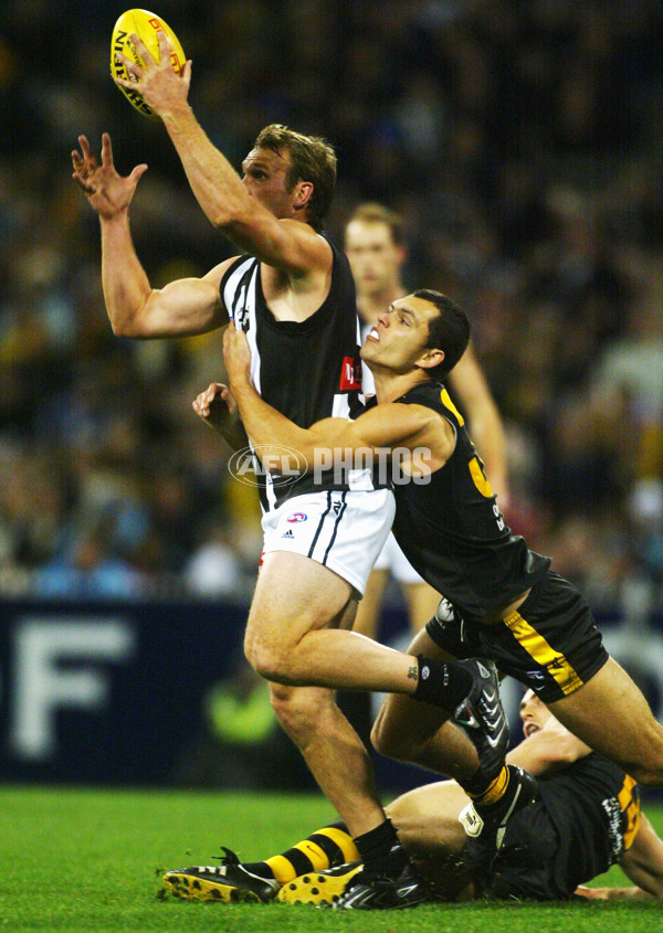 AFL 2003 Rd 16 - Richmond v Collingwood - 124600