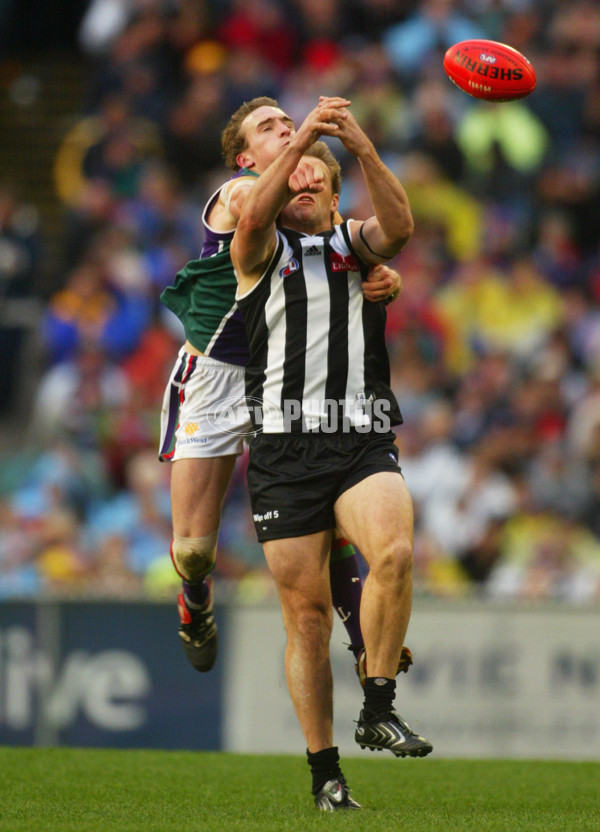 AFL 2003 Rd 15 - Collingwood v Fremantle - 124622