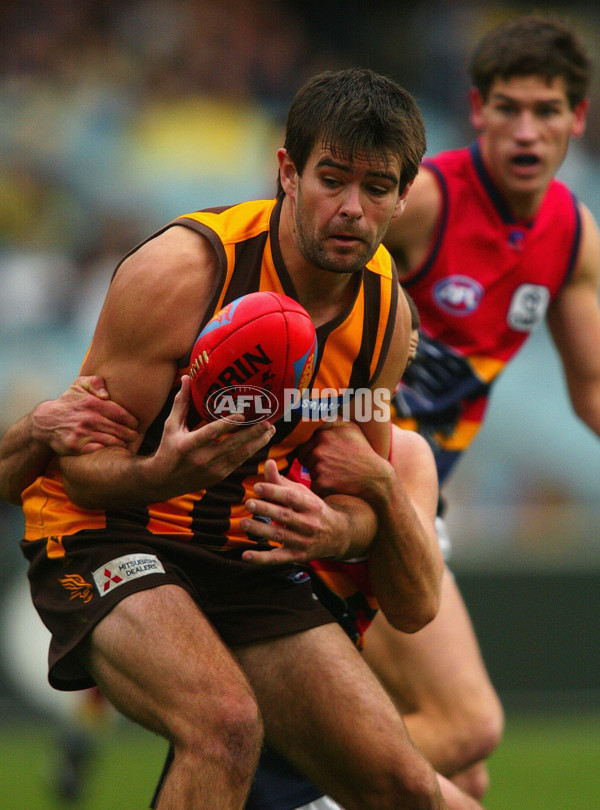 AFL 2003 Rd 11 - Hawthorn v Adelaide - 125880