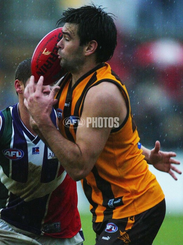AFL 2003 Rd 13 - Hawthorn v Fremantle - 125934