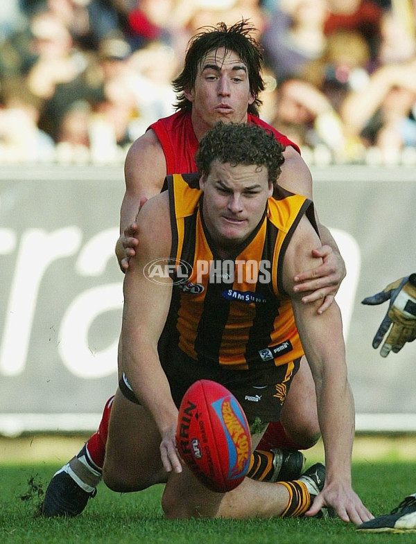 AFL 2003 Rd 16 - Hawthorn v Melbourne - A-37148051