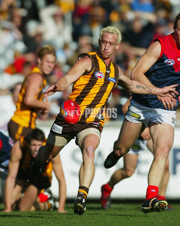 AFL 2003 Rd 16 - Hawthorn v Melbourne - A-37148063