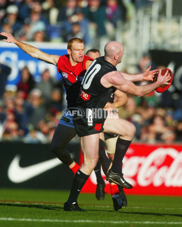 AFL 2003 Rd 14 - Carlton v Melbourne - 123461