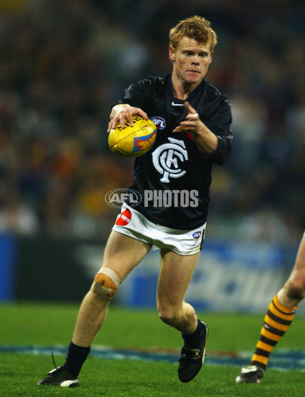 AFL 2003 Rd 21 - Hawthorn v Carlton - 123631