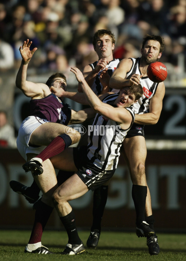 AFL 2003 Rd 19 - Collingwood v Brisbane - 124707