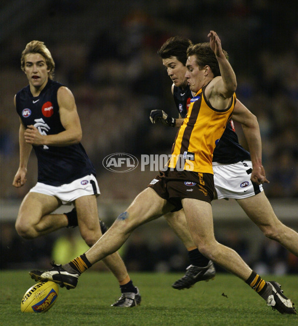 AFL 2003 Rd 21 - Hawthorn v Carlton - 126241
