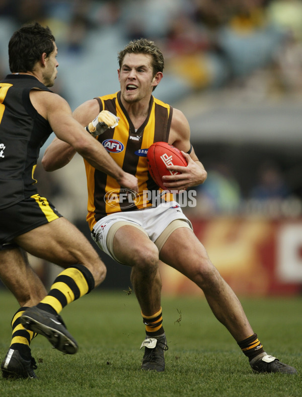 AFL 2003 Rd 22 - Richmond v Hawthorn - 126274