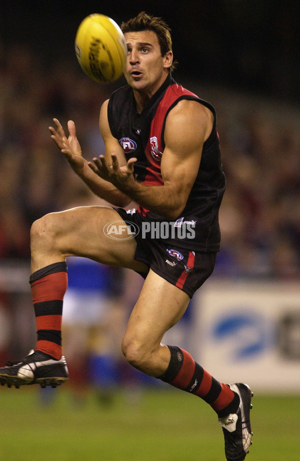 AFL 2003 Rd 10 - Essendon v West Coast - 127945