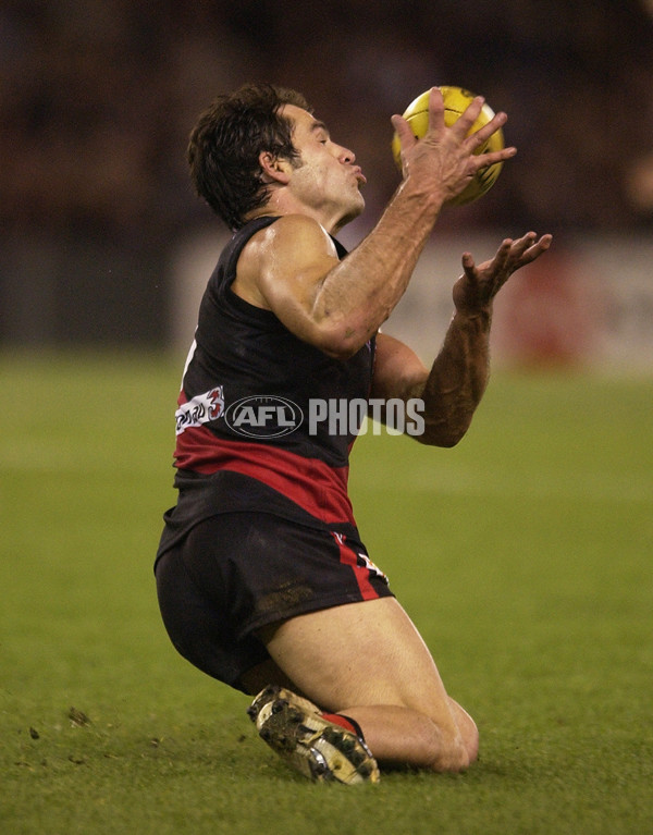 AFL 2003 Rd 10 - Essendon v West Coast - 127940