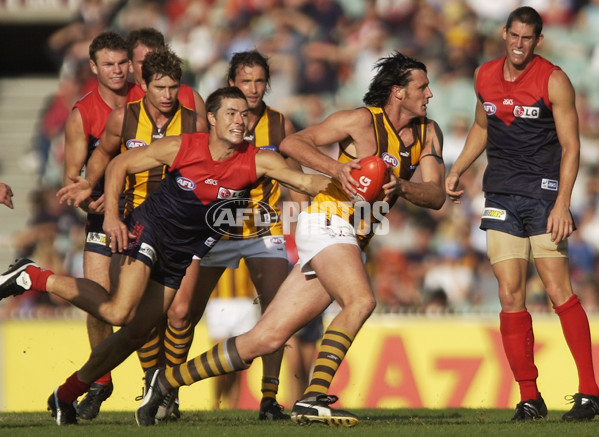 AFL 2003 Rd 1 - Hawthorn v Melbourne - 169570