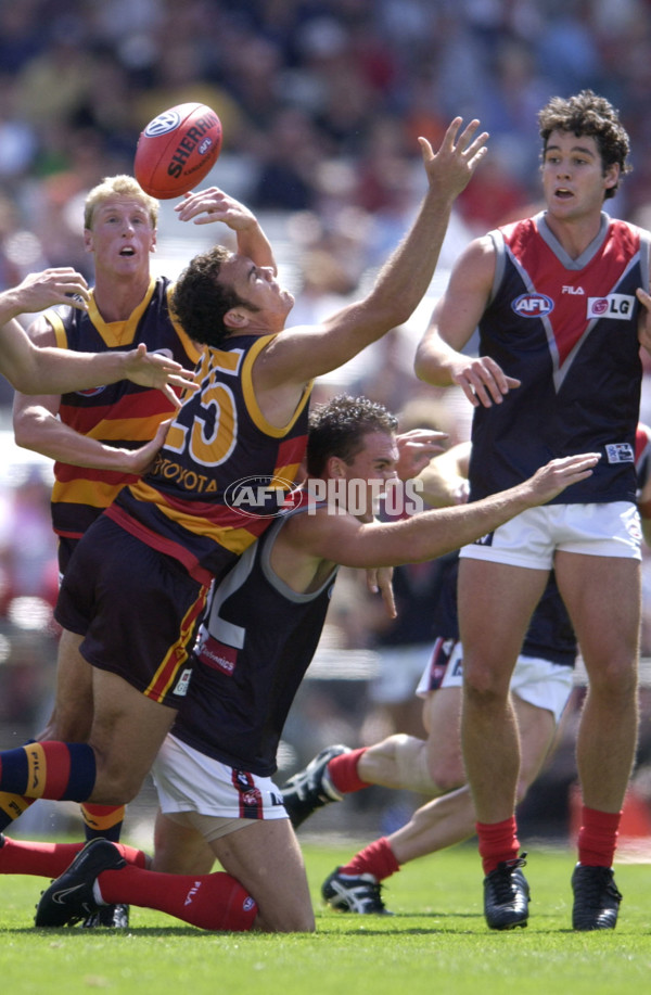 AFL 2002 Wizard Cup Match - Adelaide v Melbourne - 129838