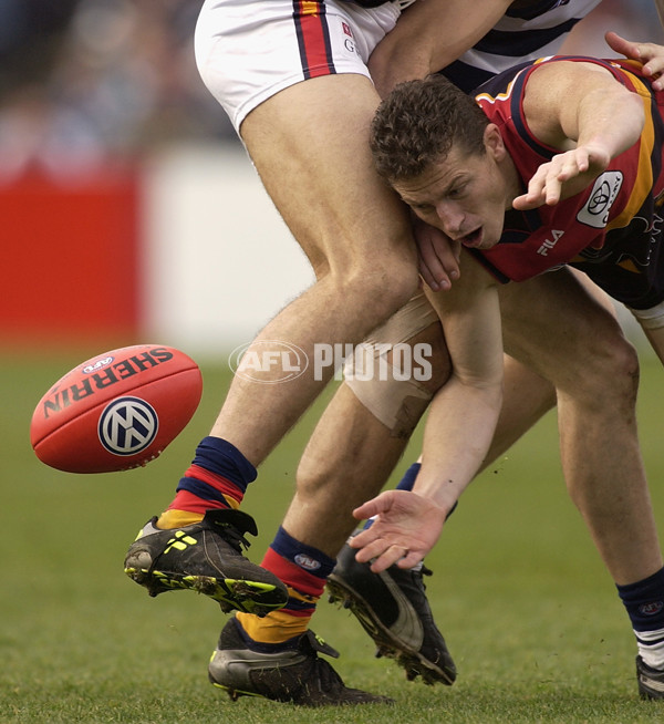 AFL 2002 Rd 17 - Geelong v Adelaide - 129897