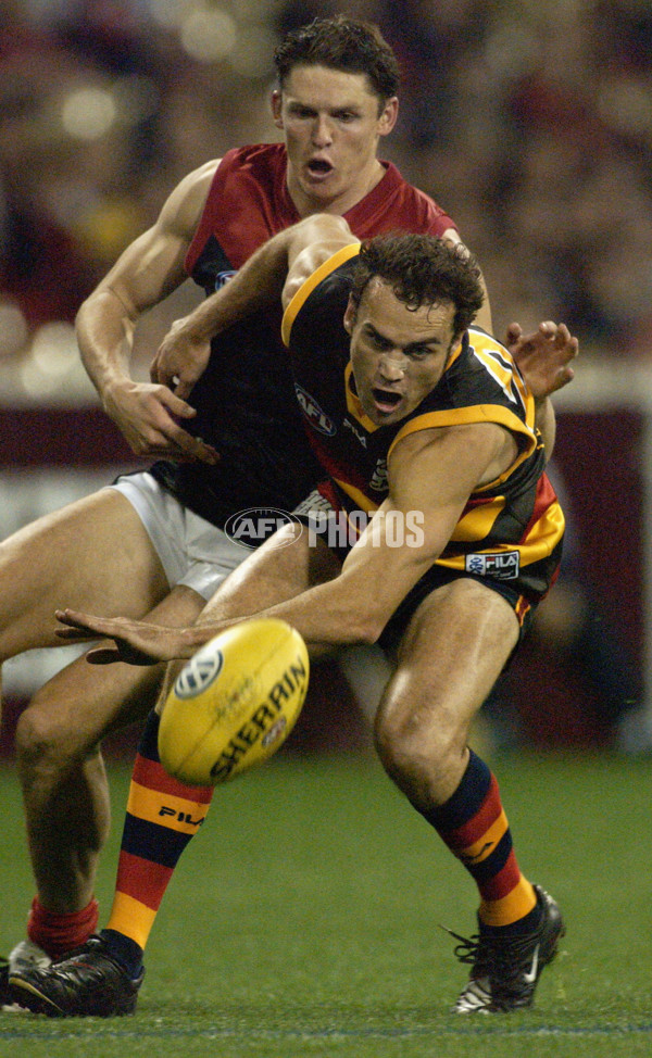 AFL 2002 2nd Semi Final - Adelaide v Melbourne - 129971